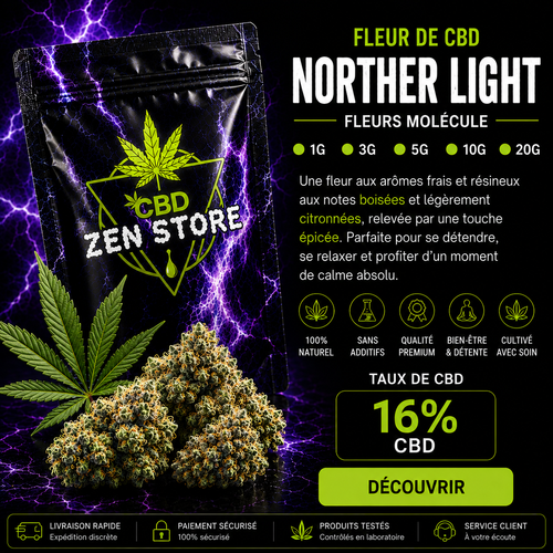 Norther Light