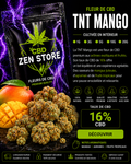 FLEUR TNT Mango
