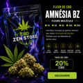 Amnésia BZ